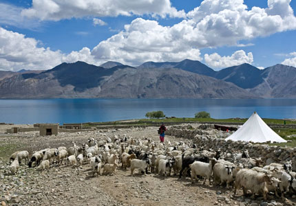9 Days Chandigarh to Ladakh