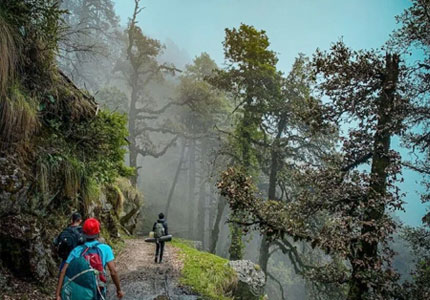Barot Valley Taxi