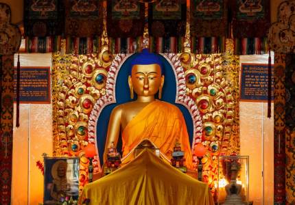 Nine Devi Darshan Spiritual Tour