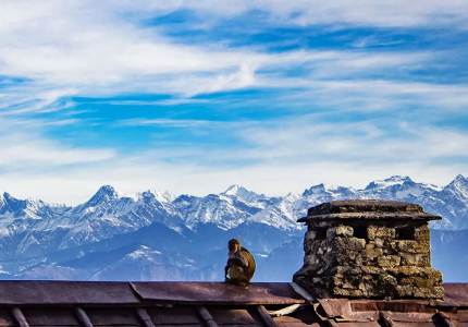 Mini Switzerland Retreat: Gaggal to Khajjiar & Dalhousie