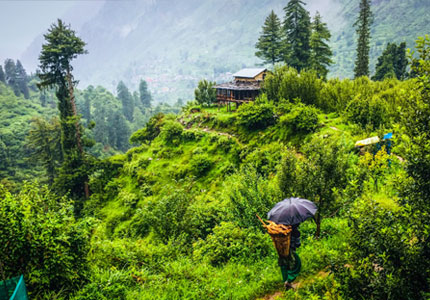 Kasauli Taxi