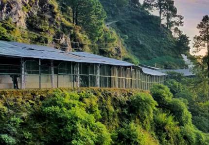 Pathankot to Katra (Vaishno Devi) Divine Blessings Tour