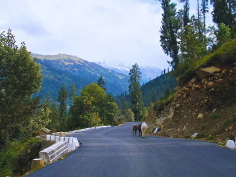 Twin Hills Delight: Shimla Manali Holiday Package