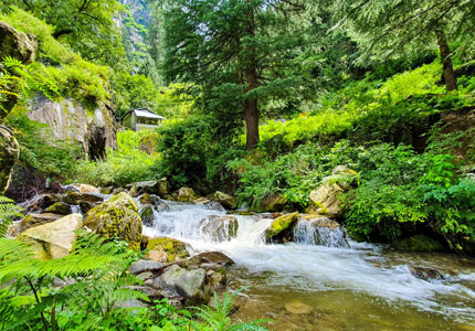 Chandigarh to Snow Peaks Loop: Shimla Manali Tour