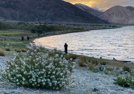 Land of High Passes: Leh Ladakh Journey