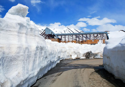 Twin Hills Delight: Shimla Manali Holiday Package