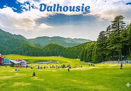 Dalhousie Taxi