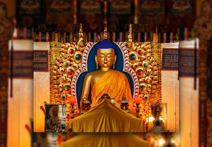 Himalayan Tour: Shimla Manali Dharamshala Dalhousie Chandigarh