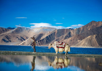 Complete 9-Days Ladakh Adventure & Monastery Tour